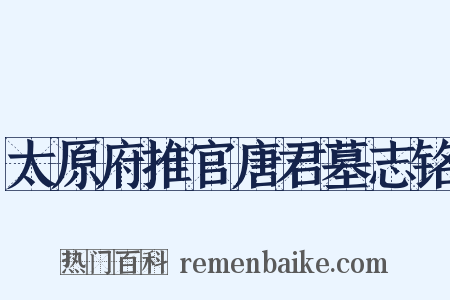 太原府推官唐君墓志铭是什么意思的图片